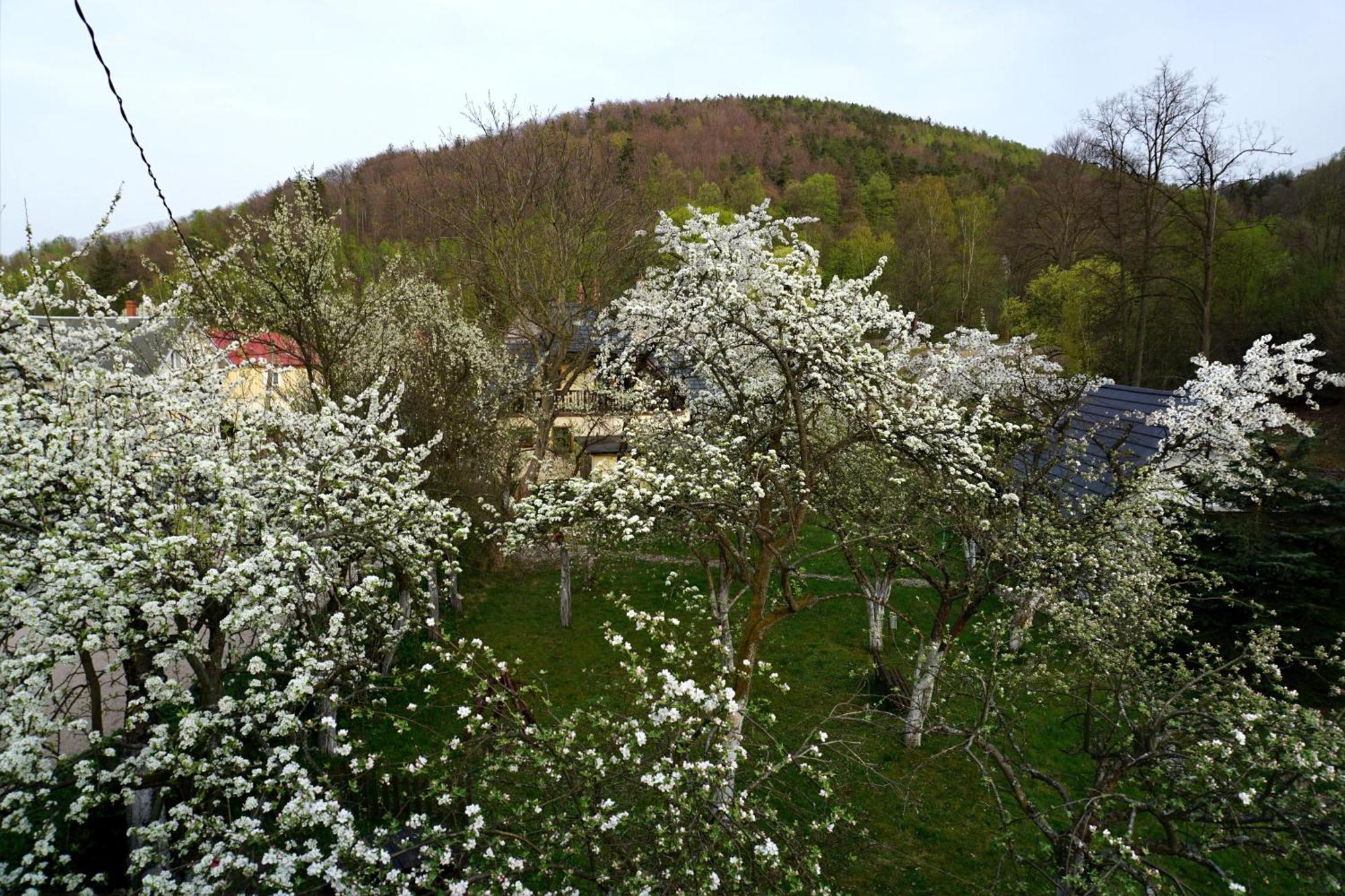 Gorski Sad - U Bazyla Piechowice (Karkonosze) Exterior foto