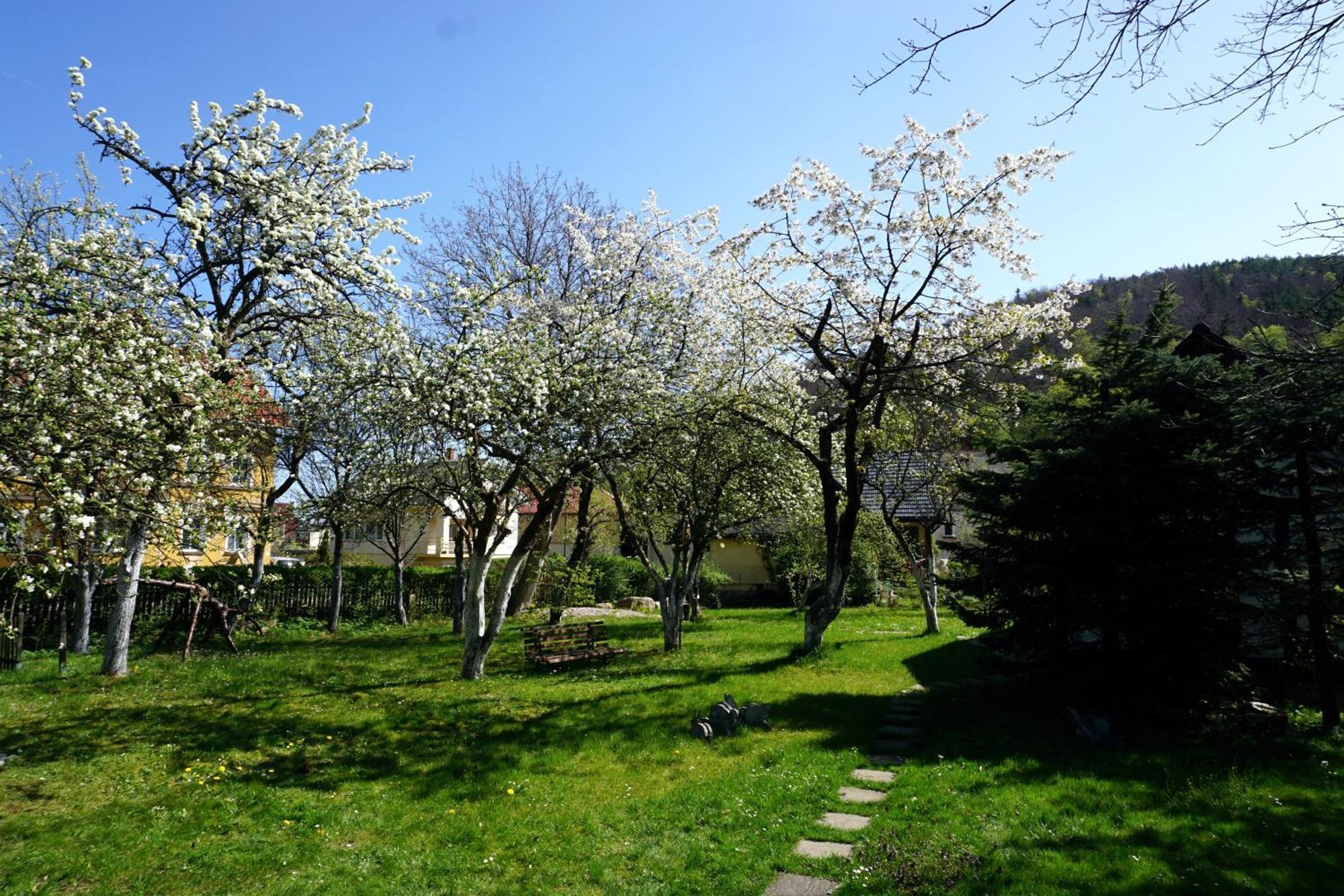 Gorski Sad - U Bazyla Piechowice (Karkonosze) Exterior foto